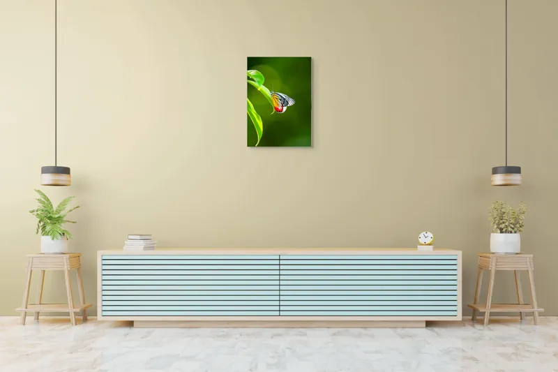 Tablou Canvas, "Fluture pe frunză înverzită", Fluture, Frunze, Verde, Galben, Roșu, Delicat, Natură, Contrast, Subtil, Raze, 50 x 70 cm – poza 6