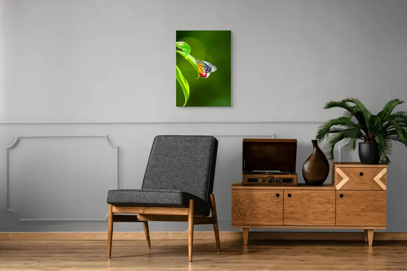 Tablou Canvas, "Fluture pe frunză înverzită", Fluture, Frunze, Verde, Galben, Roșu, Delicat, Natură, Contrast, Subtil, Raze, 50 x 70 cm – poza 8