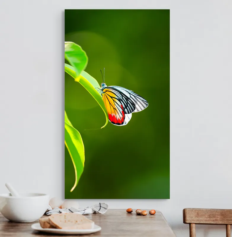 Tablou Canvas, "Fluture pe frunză înverzită", Fluture, Frunze, Verde, Galben, Roșu, Delicat, Natură, Contrast, Subtil, Raze, 50 x 90 cm – poza 3