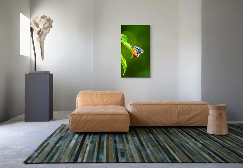 Tablou Canvas, "Fluture pe frunză înverzită", Fluture, Frunze, Verde, Galben, Roșu, Delicat, Natură, Contrast, Subtil, Raze, 50 x 90 cm – poza 5