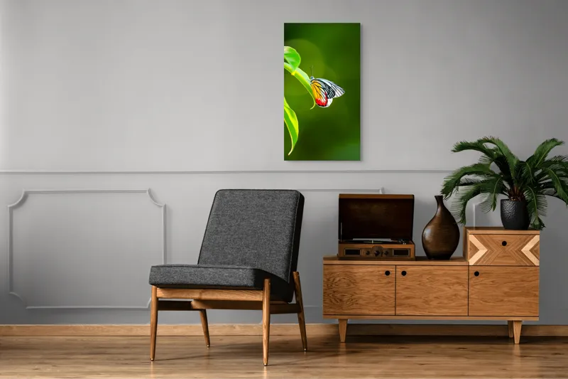 Tablou Canvas, "Fluture pe frunză înverzită", Fluture, Frunze, Verde, Galben, Roșu, Delicat, Natură, Contrast, Subtil, Raze, 50 x 90 cm – poza 8