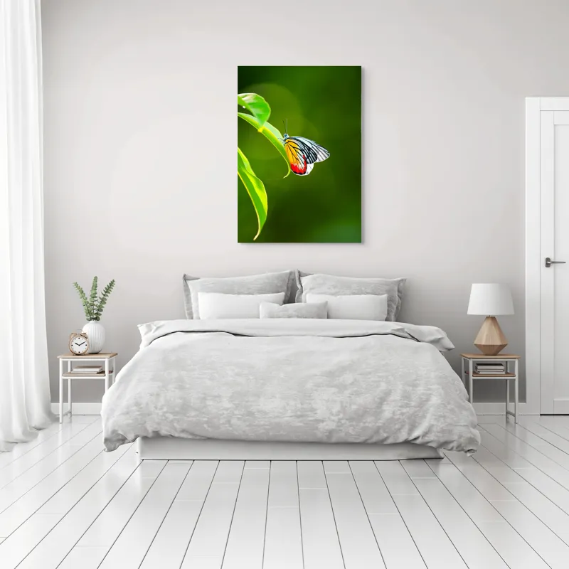 Tablou Canvas, "Fluture pe frunză înverzită", Fluture, Frunze, Verde, Galben, Roșu, Delicat, Natură, Contrast, Subtil, Raze, 70 x 100 cm – poza 3