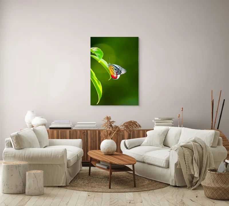 Tablou Canvas, "Fluture pe frunză înverzită", Fluture, Frunze, Verde, Galben, Roșu, Delicat, Natură, Contrast, Subtil, Raze, 70 x 100 cm – poza 4