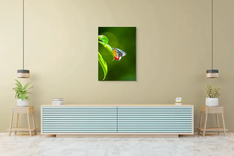 Tablou Canvas, "Fluture pe frunză înverzită", Fluture, Frunze, Verde, Galben, Roșu, Delicat, Natură, Contrast, Subtil, Raze, 70 x 100 cm – poza 5