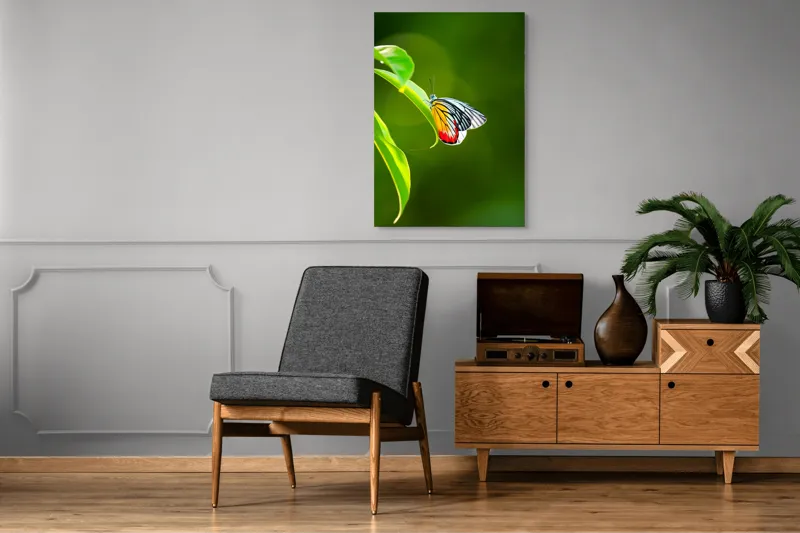 Tablou Canvas, "Fluture pe frunză înverzită", Fluture, Frunze, Verde, Galben, Roșu, Delicat, Natură, Contrast, Subtil, Raze, 70 x 100 cm – poza 6
