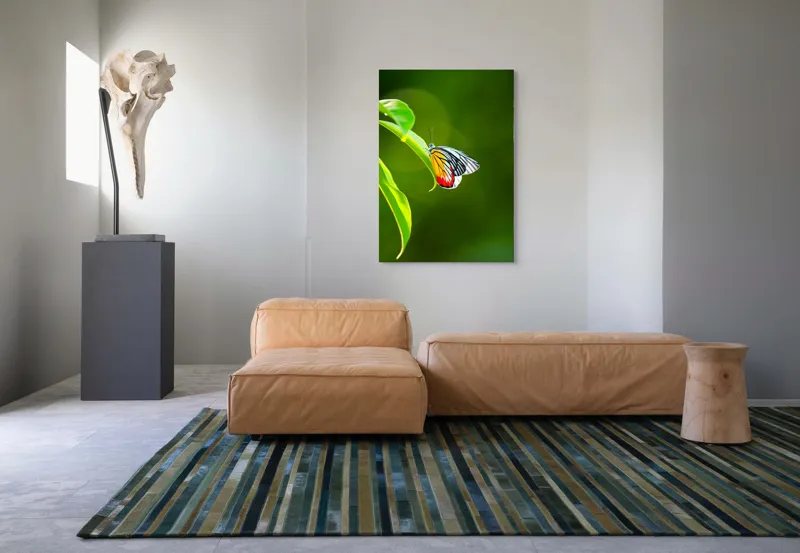 Tablou Canvas, "Fluture pe frunză înverzită", Fluture, Frunze, Verde, Galben, Roșu, Delicat, Natură, Contrast, Subtil, Raze, 70 x 100 cm – poza 7
