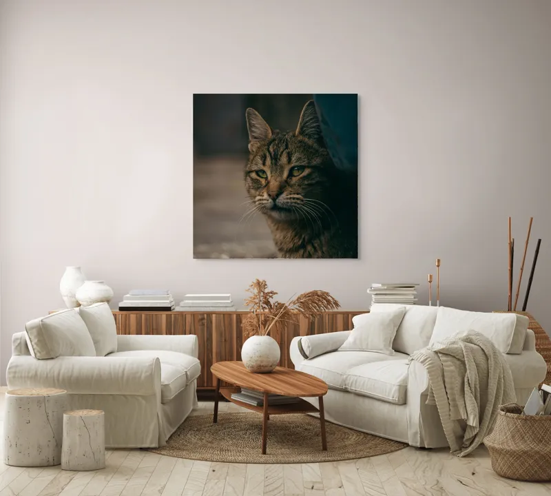 Tablou Canvas, "Pisica pierdută în gânduri", Pisică, Tăcută, Privire, Blândă, Mistică, Blană, Tigru, Nocturnă, 100 x 100 cm – poza 3