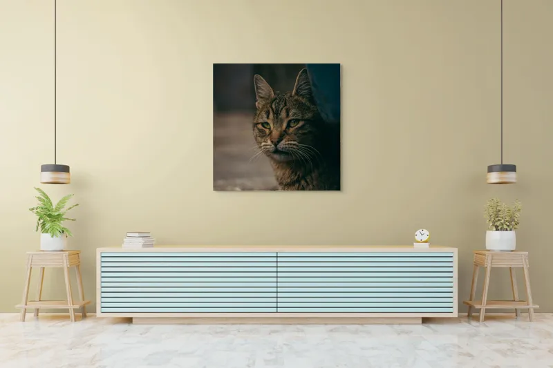 Tablou Canvas, "Pisica pierdută în gânduri", Pisică, Tăcută, Privire, Blândă, Mistică, Blană, Tigru, Nocturnă, 100 x 100 cm – poza 5