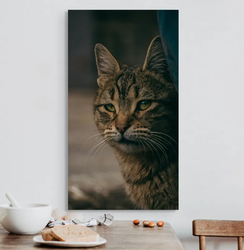 Tablou Canvas, "Pisica pierdută în gânduri", Pisică, Tăcută, Privire, Blândă, Mistică, Blană, Tigru, Nocturnă, 50 x 90 cm – poza 3
