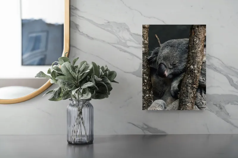 Tablou Canvas, "Koala adormit între copaci zgribuliți", Somn, Koala, Odihnă, Blană, Arbore, Natură, Pace., 26 x 39 cm – poza 4