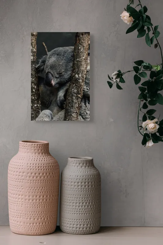 Tablou Canvas, "Koala adormit între copaci zgribuliți", Somn, Koala, Odihnă, Blană, Arbore, Natură, Pace., 26 x 39 cm – poza 6