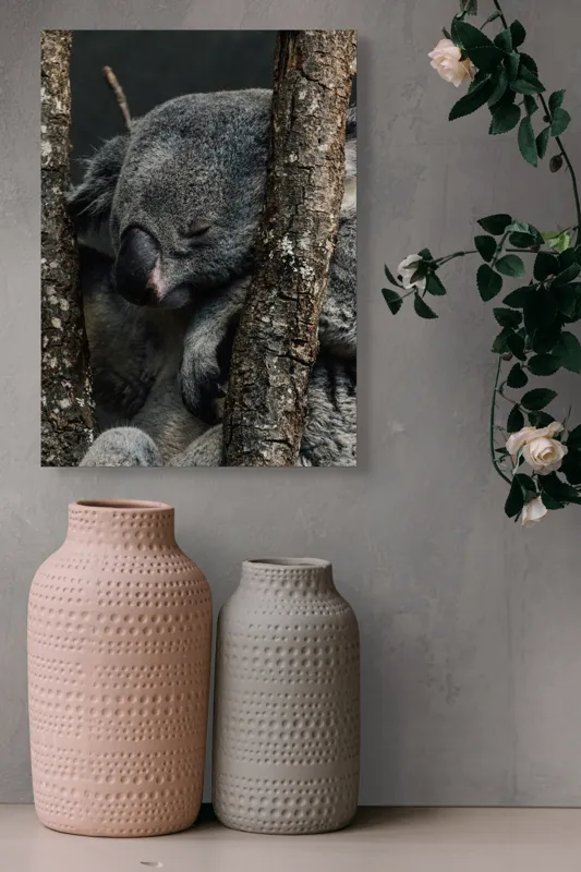 Tablou Canvas, "Koala adormit între copaci zgribuliți", Somn, Koala, Odihnă, Blană, Arbore, Natură, Pace., 39 x 54 cm – poza 6
