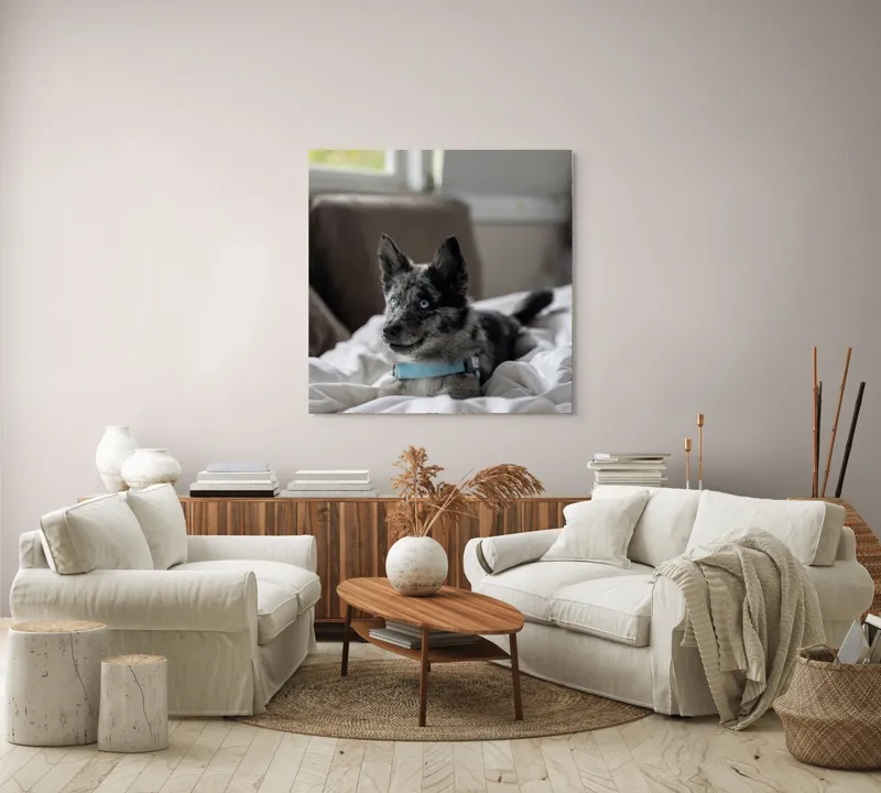 Tablou Canvas, "Căţelul albastru cu privire curioasă", 100 x 100 cm – poza 3