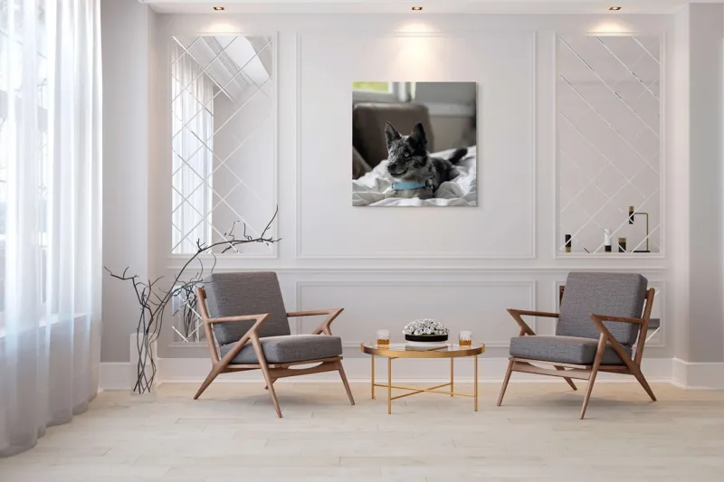 Tablou Canvas, "Căţelul albastru cu privire curioasă", 100 x 100 cm – poza 7