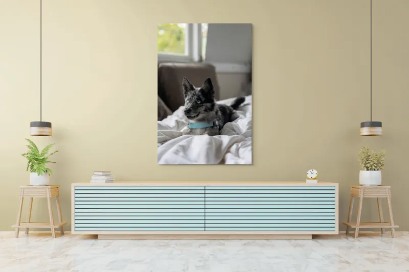 Tablou Canvas, "Căţelul albastru cu privire curioasă", 100 x 150 cm – poza 4