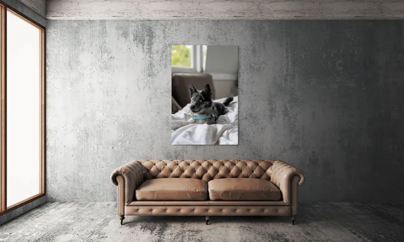 Tablou Canvas, "Căţelul albastru cu privire curioasă", 100 x 150 cm – poza 6