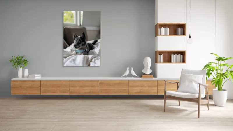Tablou Canvas, "Căţelul albastru cu privire curioasă", 100 x 150 cm – poza 8