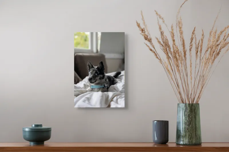Tablou Canvas, "Căţelul albastru cu privire curioasă", 26 x 39 cm – poza 5