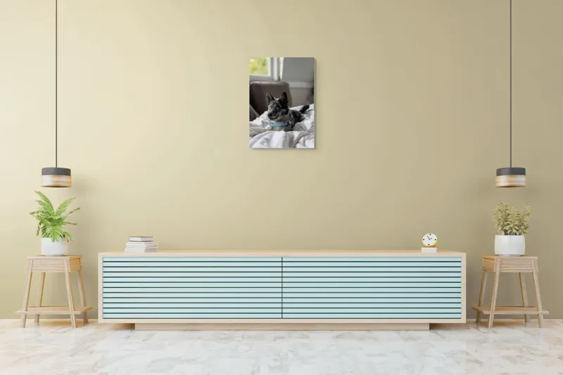 Tablou Canvas, "Căţelul albastru cu privire curioasă", 50 x 70 cm – poza 6