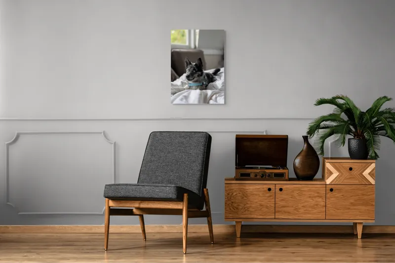 Tablou Canvas, "Căţelul albastru cu privire curioasă", 50 x 70 cm – poza 8