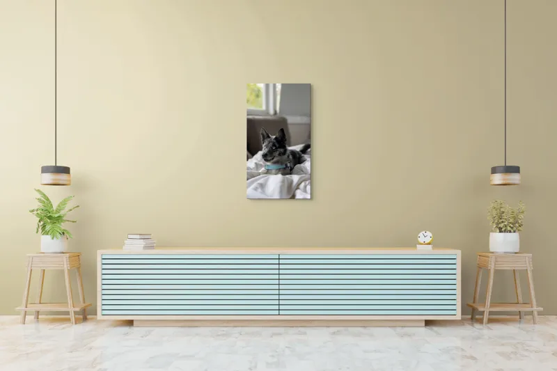 Tablou Canvas, "Căţelul albastru cu privire curioasă", 50 x 90 cm – poza 6