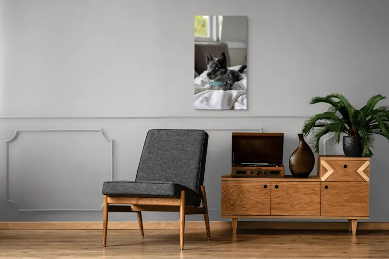 Tablou Canvas, "Căţelul albastru cu privire curioasă", 50 x 90 cm – poza 8