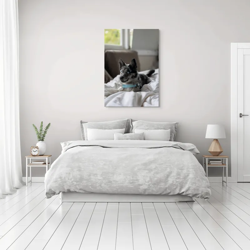 Tablou Canvas, "Căţelul albastru cu privire curioasă", 70 x 100 cm – poza 3