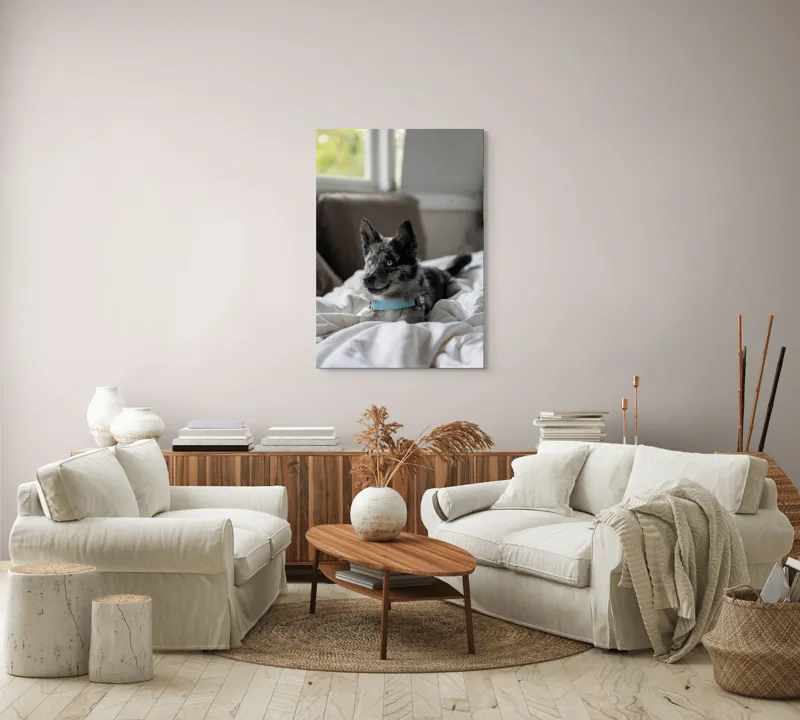 Tablou Canvas, "Căţelul albastru cu privire curioasă", 70 x 100 cm – poza 4