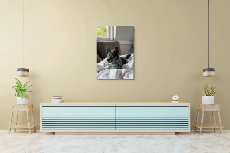Tablou Canvas, "Căţelul albastru cu privire curioasă", 70 x 100 cm – poza 5