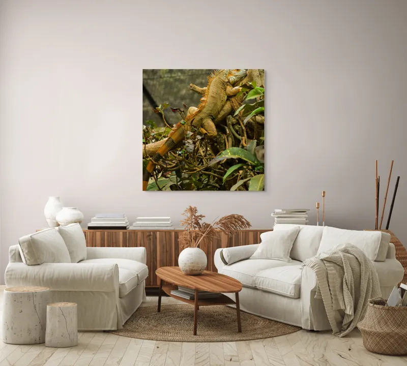 Tablou Canvas, "Iguana odihnindu-se pe crengi verzi", Șopârlă, Ramuri, Frunziș, Camuflaj, Tandră, Natură, Solzi, Repaus, Verde, Mediu, Habitat, Imersie., 100 x 100 cm – poza 3