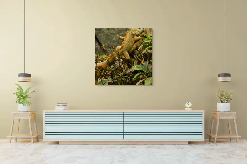 Tablou Canvas, "Iguana odihnindu-se pe crengi verzi", Șopârlă, Ramuri, Frunziș, Camuflaj, Tandră, Natură, Solzi, Repaus, Verde, Mediu, Habitat, Imersie., 100 x 100 cm – poza 5