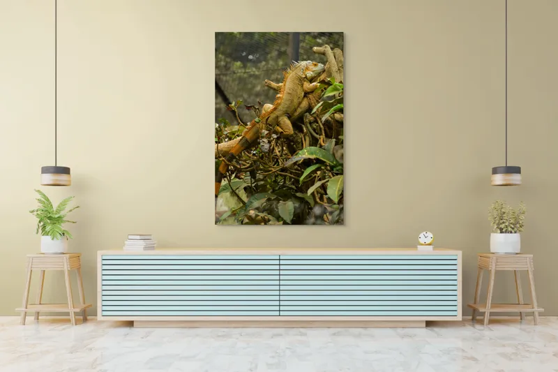 Tablou Canvas, "Iguana odihnindu-se pe crengi verzi", Șopârlă, Ramuri, Frunziș, Camuflaj, Tandră, Natură, Solzi, Repaus, Verde, Mediu, Habitat, Imersie., 100 x 150 cm – poza 4