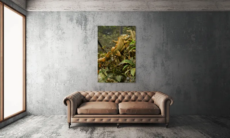Tablou Canvas, "Iguana odihnindu-se pe crengi verzi", Șopârlă, Ramuri, Frunziș, Camuflaj, Tandră, Natură, Solzi, Repaus, Verde, Mediu, Habitat, Imersie., 100 x 150 cm – poza 6