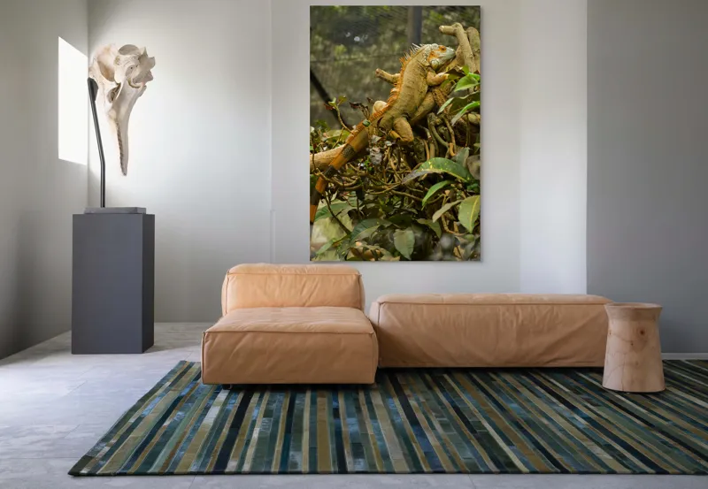 Tablou Canvas, "Iguana odihnindu-se pe crengi verzi", Șopârlă, Ramuri, Frunziș, Camuflaj, Tandră, Natură, Solzi, Repaus, Verde, Mediu, Habitat, Imersie., 100 x 150 cm – poza 7