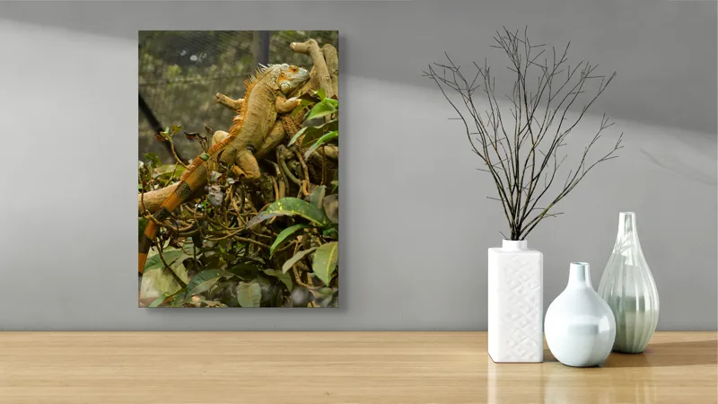 Tablou Canvas, "Iguana odihnindu-se pe crengi verzi", Șopârlă, Ramuri, Frunziș, Camuflaj, Tandră, Natură, Solzi, Repaus, Verde, Mediu, Habitat, Imersie., 39 x 54 cm – poza 4