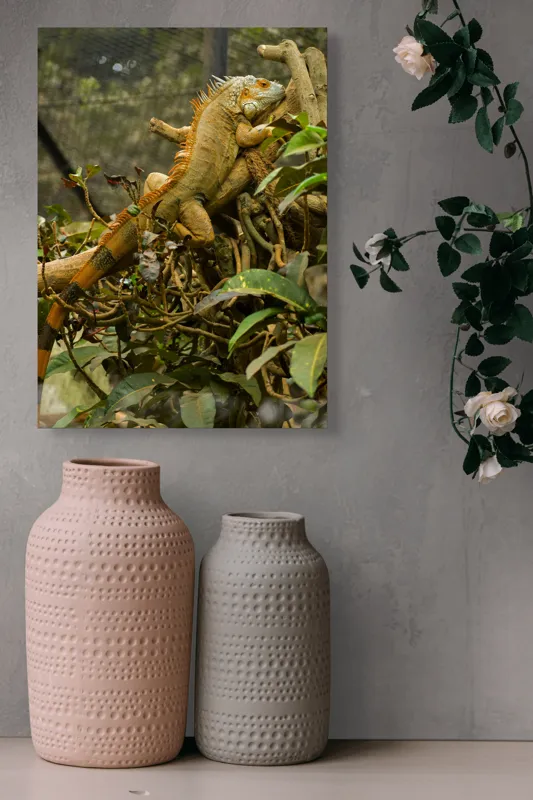 Tablou Canvas, "Iguana odihnindu-se pe crengi verzi", Șopârlă, Ramuri, Frunziș, Camuflaj, Tandră, Natură, Solzi, Repaus, Verde, Mediu, Habitat, Imersie., 39 x 54 cm – poza 6