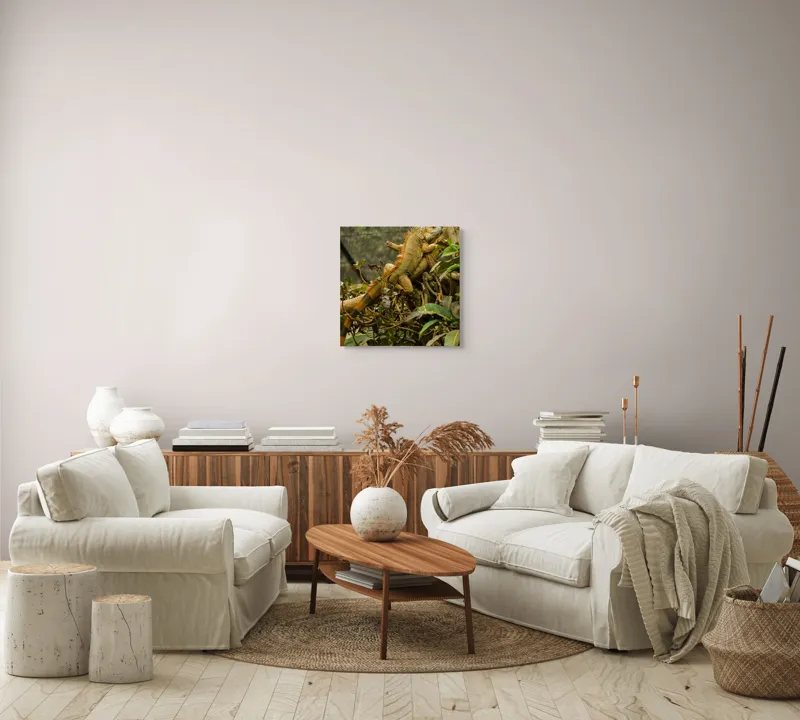 Tablou Canvas, "Iguana odihnindu-se pe crengi verzi", Șopârlă, Ramuri, Frunziș, Camuflaj, Tandră, Natură, Solzi, Repaus, Verde, Mediu, Habitat, Imersie., 50 x 50 cm – poza 7