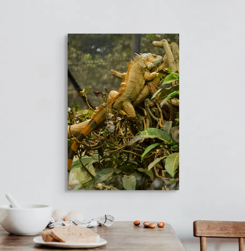 Tablou Canvas, "Iguana odihnindu-se pe crengi verzi", Șopârlă, Ramuri, Frunziș, Camuflaj, Tandră, Natură, Solzi, Repaus, Verde, Mediu, Habitat, Imersie., 50 x 70 cm – poza 3