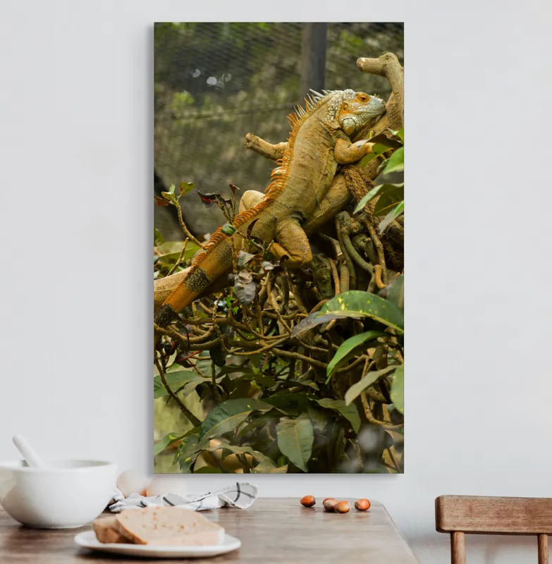 Tablou Canvas, "Iguana odihnindu-se pe crengi verzi", Șopârlă, Ramuri, Frunziș, Camuflaj, Tandră, Natură, Solzi, Repaus, Verde, Mediu, Habitat, Imersie., 50 x 90 cm – poza 3