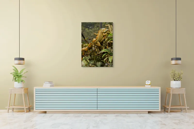 Tablou Canvas, "Iguana odihnindu-se pe crengi verzi", Șopârlă, Ramuri, Frunziș, Camuflaj, Tandră, Natură, Solzi, Repaus, Verde, Mediu, Habitat, Imersie., 70 x 100 cm – poza 5