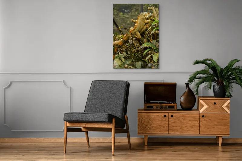 Tablou Canvas, "Iguana odihnindu-se pe crengi verzi", Șopârlă, Ramuri, Frunziș, Camuflaj, Tandră, Natură, Solzi, Repaus, Verde, Mediu, Habitat, Imersie., 70 x 100 cm – poza 6