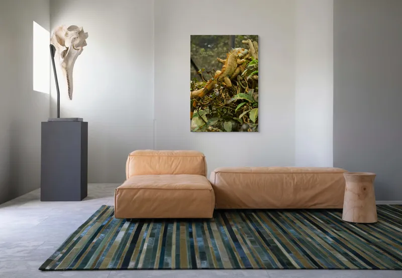 Tablou Canvas, "Iguana odihnindu-se pe crengi verzi", Șopârlă, Ramuri, Frunziș, Camuflaj, Tandră, Natură, Solzi, Repaus, Verde, Mediu, Habitat, Imersie., 70 x 100 cm – poza 7