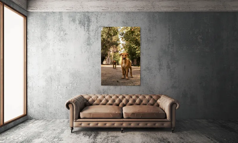 Tablou Canvas, "Cățeii exploratori ai pădurii verzi", 100 x 150 cm – poza 6
