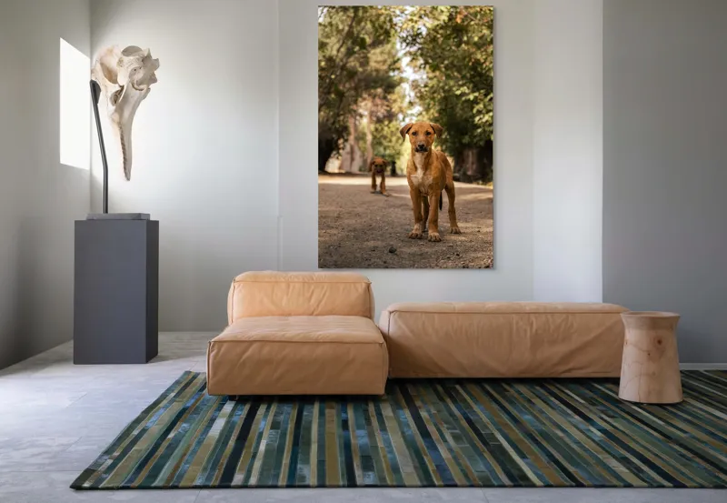 Tablou Canvas, "Cățeii exploratori ai pădurii verzi", 100 x 150 cm – poza 7