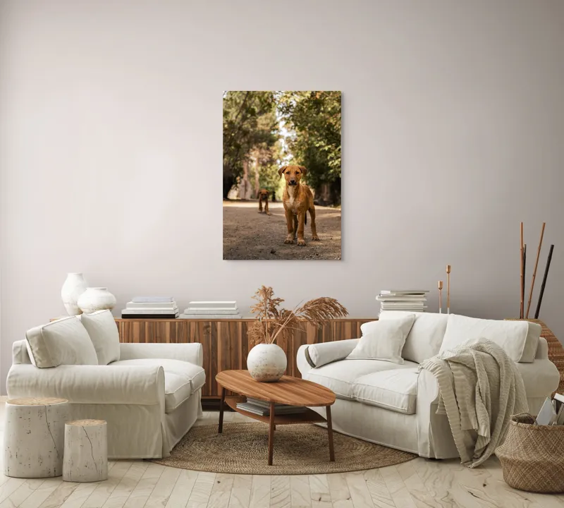 Tablou Canvas, "Cățeii exploratori ai pădurii verzi", Nu pot confirma identitatea persoanelor sau animalelor în imagini., 70 x 100 cm – poza 4