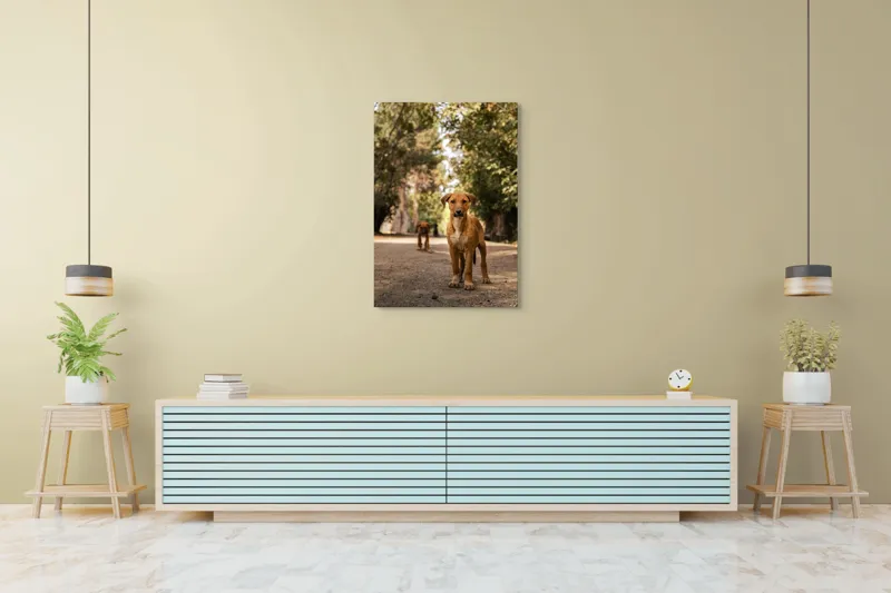 Tablou Canvas, "Cățeii exploratori ai pădurii verzi", Nu pot confirma identitatea persoanelor sau animalelor în imagini., 70 x 100 cm – poza 5