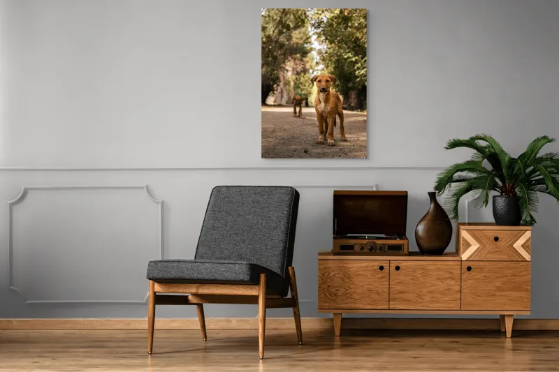 Tablou Canvas, "Cățeii exploratori ai pădurii verzi", Nu pot confirma identitatea persoanelor sau animalelor în imagini., 70 x 100 cm – poza 6