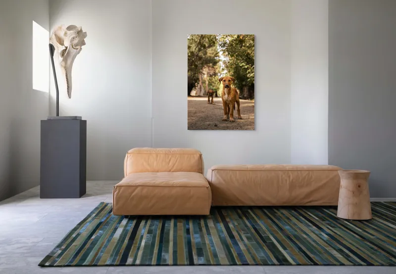 Tablou Canvas, "Cățeii exploratori ai pădurii verzi", Nu pot confirma identitatea persoanelor sau animalelor în imagini., 70 x 100 cm – poza 7