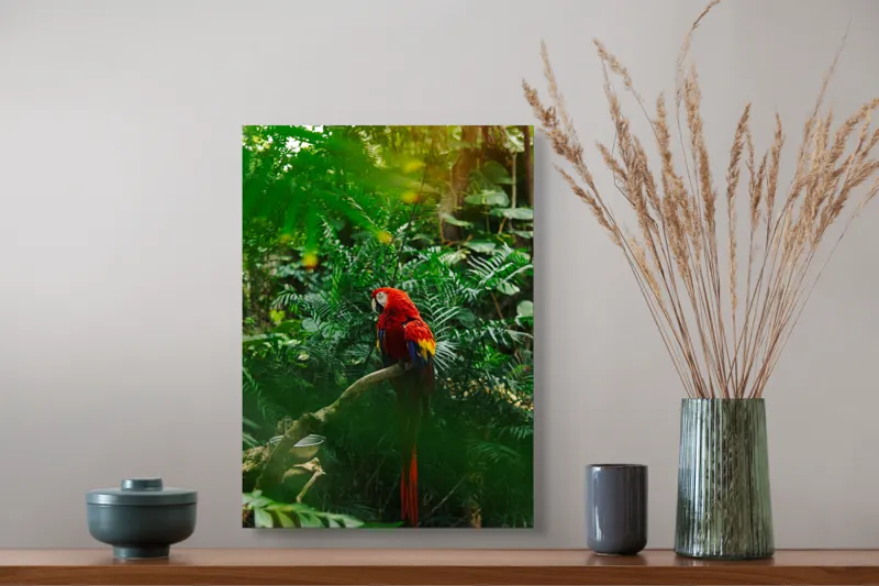 Tablou Canvas, "Papagalul roșu în junglă verde", Roșu, Papagal, Exotic, Junglă, Frunze, Natură, Culoare, Sălbăticie, 39 x 54 cm – poza 3