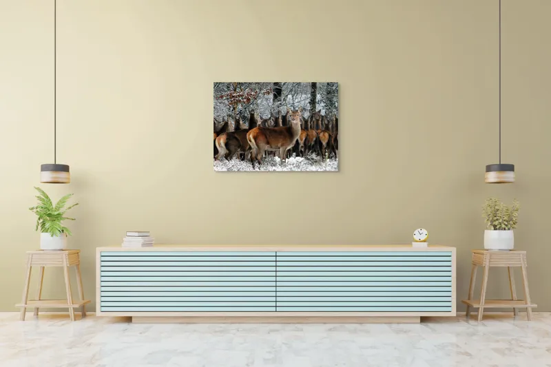 Tablou Canvas, "Căprioare în liniștea iernii pădurii", Căprioare, Zăpadă, Pădure, Iarnă, Copaci, Natură, Frig, Animale, Peisaj, Sălbăticie, 100 x 70 cm – poza 4